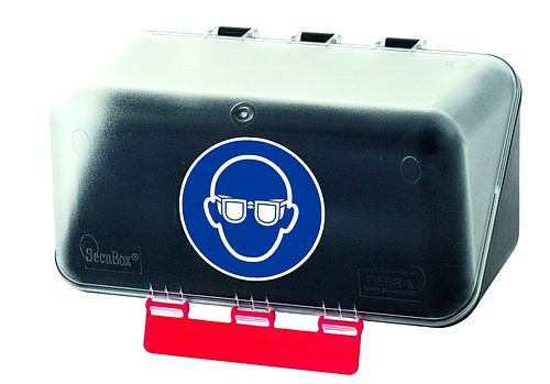 DENIOS minibox för förvaring av ögonskydd, transparent, 116-476