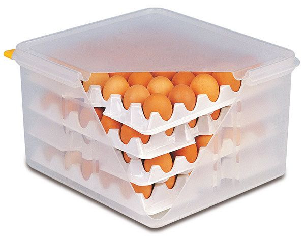 APS-lager för ägglåda, vardera 28 x 28 cm, polystyren, lämplig för artikel 82419, 10-pack, 82420