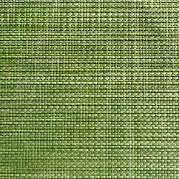 APS bordstablett - äppelgrön, 45 x 33 cm, PVC, smalband, 6 st, 60521