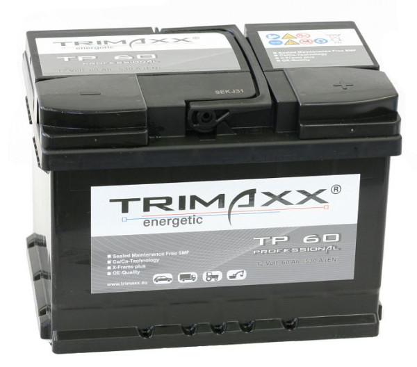 IBH TRIMAXX energisk &quot;Professional&quot; TP60 per startbatteri, 108 009200 20